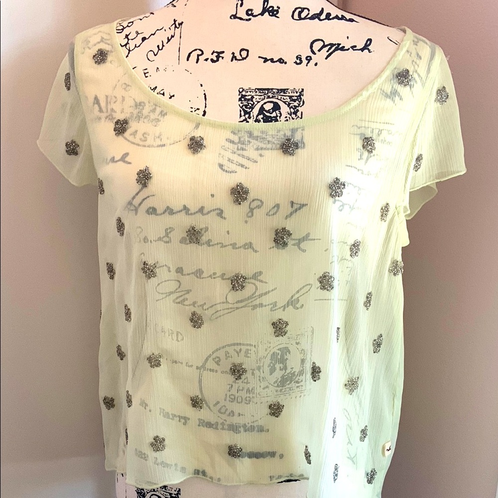 American Eagle Outfitters sheer top